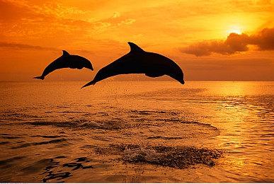 夏日促销来袭，《底特律：化身为人》享四折！